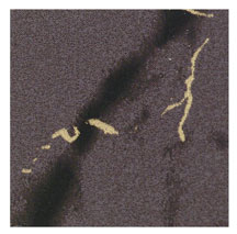 Dollhouse Marble Floor - Black w/ Gold Vein