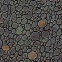 Cobblestone Flooring
